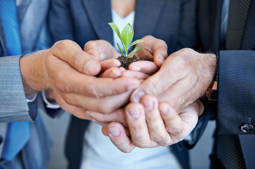 organizational change management