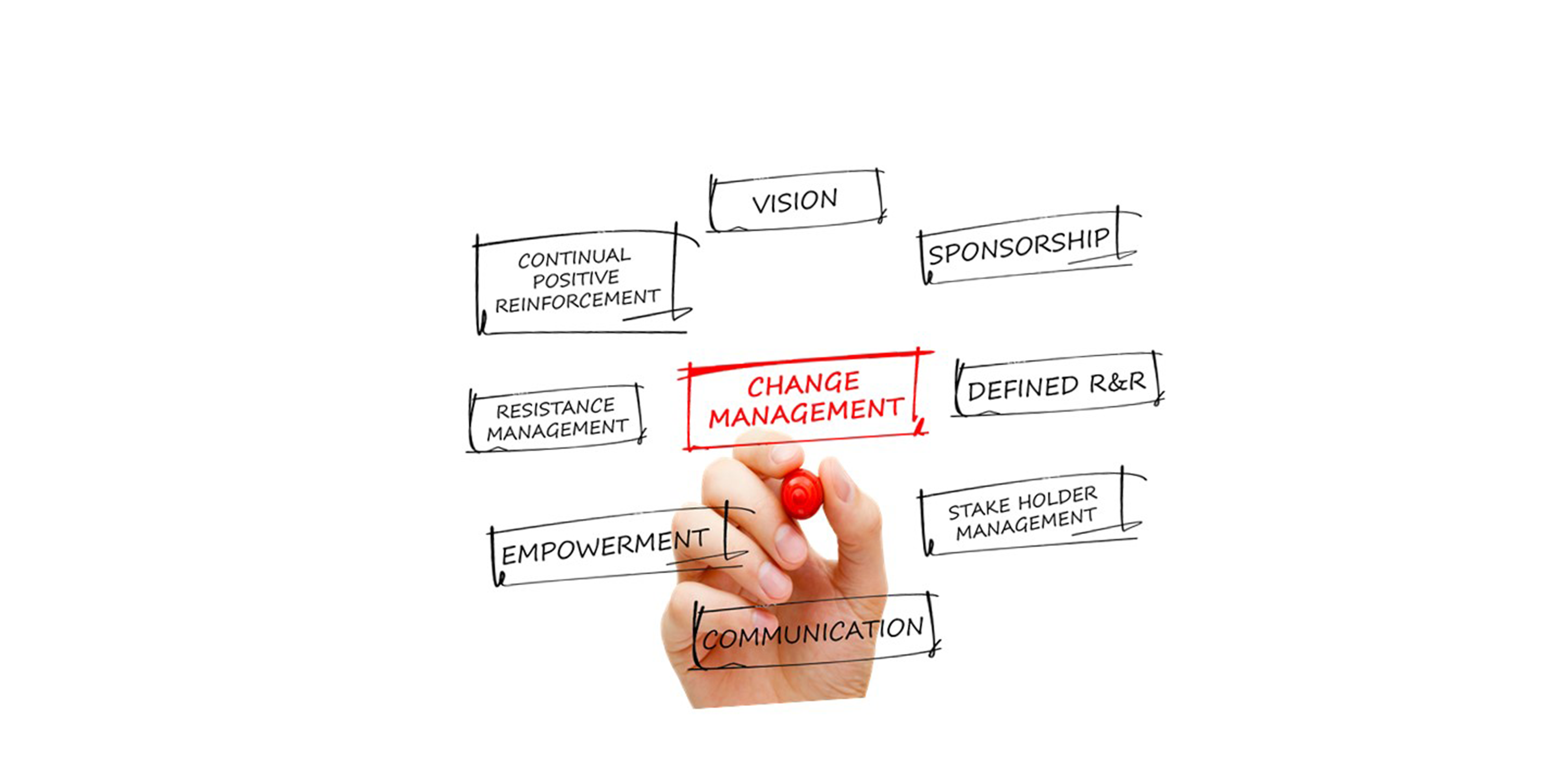 organizational change management