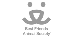 Best-Friend-Society